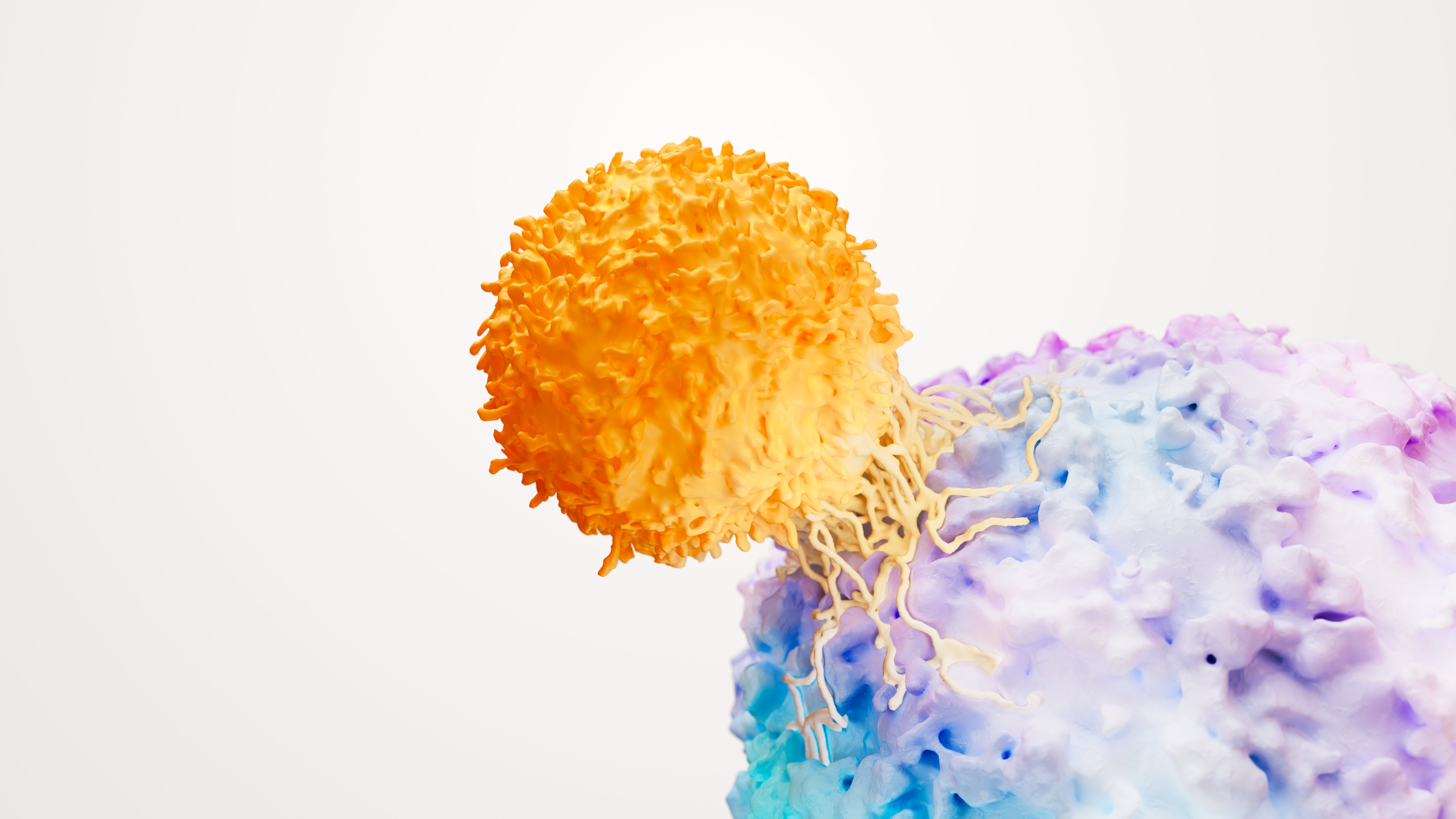 T-cell and cancer tumour science